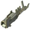 APTIV / DELPHI 12124076