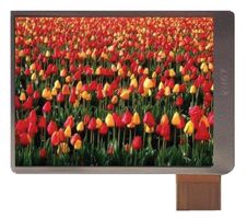 MIDAS DISPLAYS MCT024C12W240320PSL