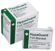 SAFETY FIRST AID GROUP Q2023T.